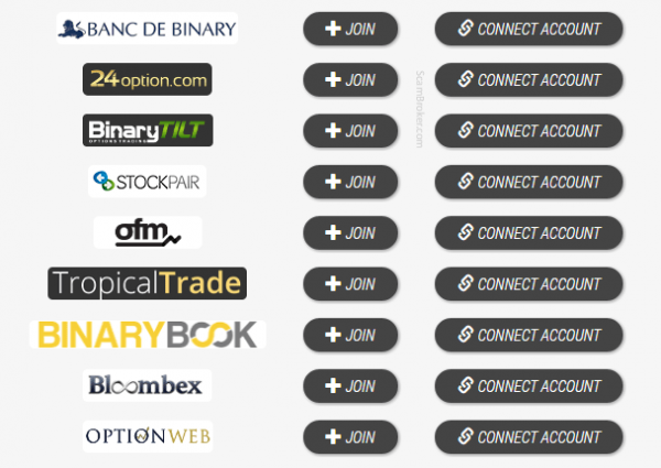 Automated Binary Software Brokers