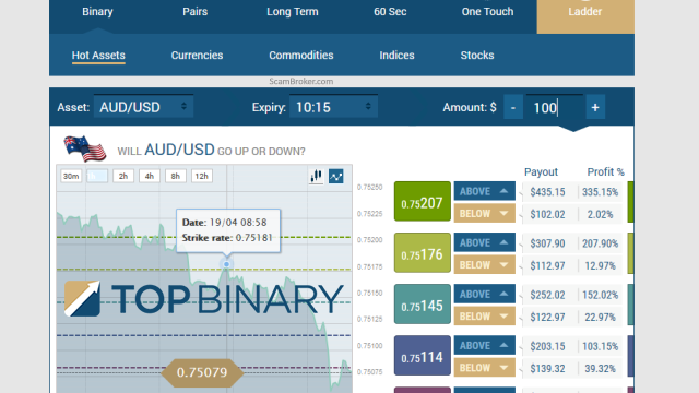 TopBinary Brokers Software Review