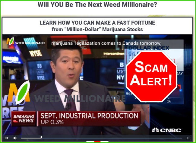 Official Weeds Millionaire Video