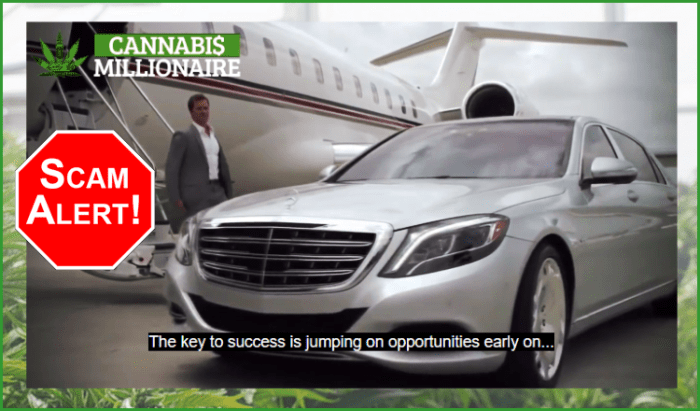 Cannabis Millionaire Software