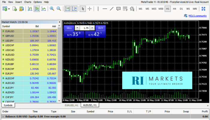 RIMarkets Broker Forex Trading Platform
