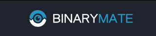 BinaryMate Review