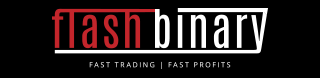 Flash Binary Logo