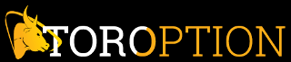 TORoption Logo